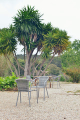 Chairs in garden with yucca tree. Mallorca. Spain.