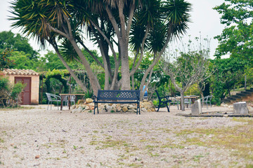 Bench under yucca tree in garden. Mallorca. Spain.