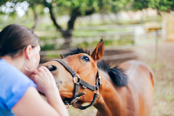 Fototapeta premium Woman touching nose of horse