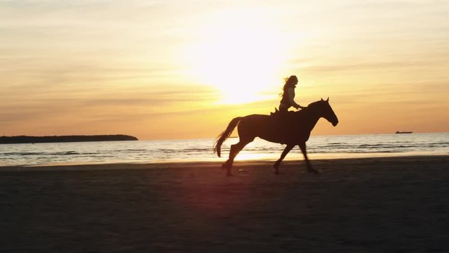 Silhouette of Woman Riding Horse Along Beach Shoreline. Shot on RED Cinema Camera.