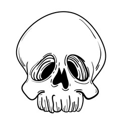 Thin line skull label. Retro vector design graphic element, badge, emblem, logo, insignia, sign, identity, logotype, poster. Stroke hipster illustration with typographic for t-shirt prints.