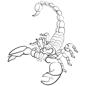 Hand drawn astrological zodiac sign Scorpion
