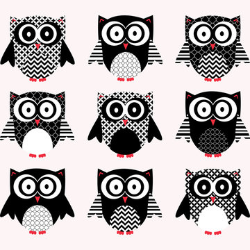 Black and White Cute Owl Collections.