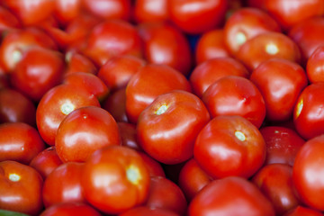 Tomatoes