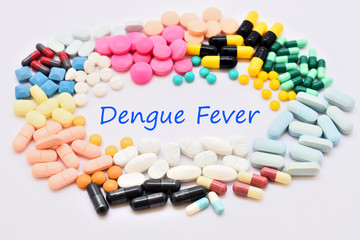 Drugs for dengue fever treatment
