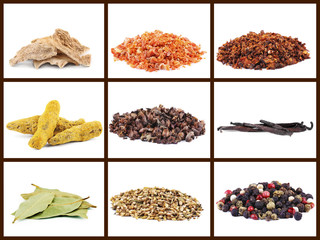 Set of different spices, isolated on white