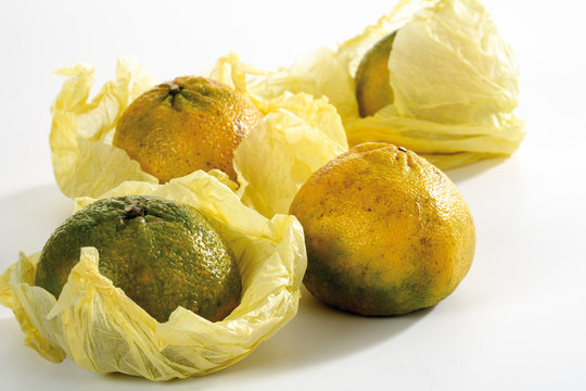 Eingewickelte uglis, close-up