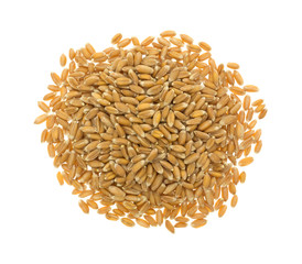 Portion of organic spelt isolated on a white background top view.