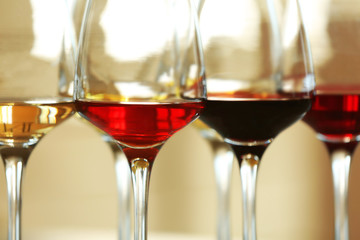 Many glasses of different wine in a row, close up