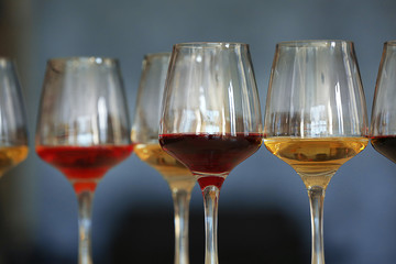 Many glasses of different wine in a row, close up