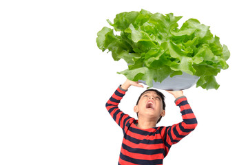 Little boy taking huge big bowl of vegetable over his head on white background