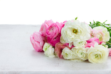 Pink and white ranunculus flowers