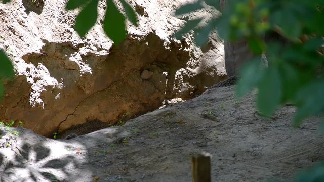 Road worker digs a trench