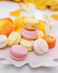 Plate with fresh macaroons and rose petals on light background