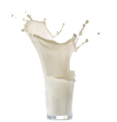 Milk splash, isolated on white