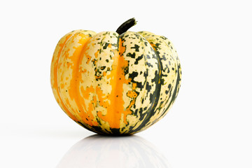 Speisekuerbis (Gorgonzola Chamaelion)