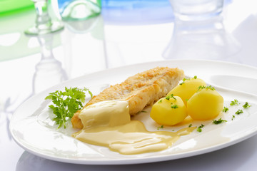 Fischgericht, gebratenes Rotbarsch Filet mit Salzkartoffeln, Tel