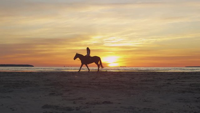 Silhouette of Rider on Horse at Beach in Sunset Light. Wide Shot. Shot on RED Cinema Camera.