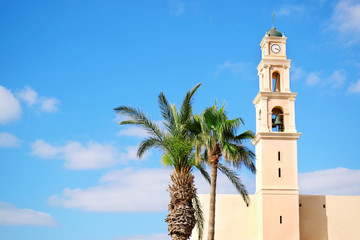 Clock tower and palms