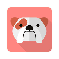 dog flat icon