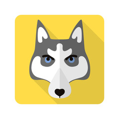 dog flat icon