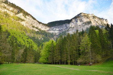 Fototapeta na wymiar Plan du Guiers Vif (Chartreuse / Savoie)