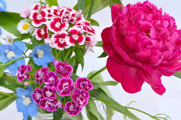 Фон с цветов - пионы, гвоздики, дельфиниум, ромашка