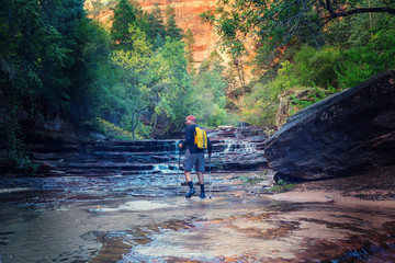 Hike in Zion