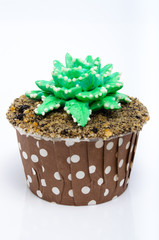 Cactus cake