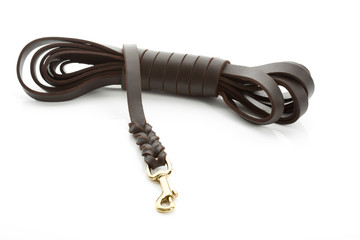 Fettleder; Leine; Hund; Erziehung, Training, Hundeschule, weiss,