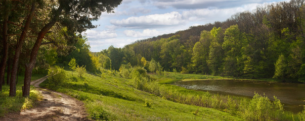 Spring landscape, banner, Panorama - road near the pine forest, next to a pond