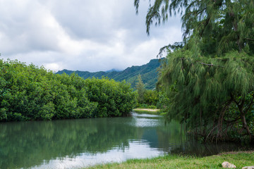 Obraz premium Kahana Bay garden on the North Shore of Oahu HawaII