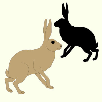 gray rabbit sits a black silhouette vector illustration