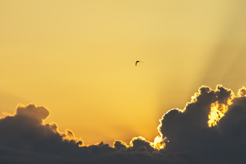 colorful yellow sunrise, sunset clouds and sun rays, Nature, background, landscape