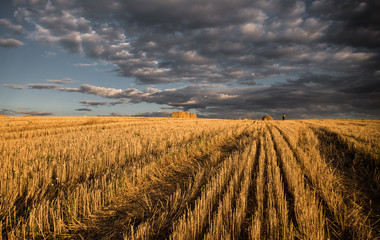 Rolls of haystacks on the field. Summer farm scenery with haystack on the Background of beautiful sunset. Agriculture Concept. 