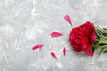 Red peony flowers on a grey background