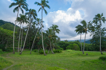 Kahana Bay garden on the North Shore of Oahu HawaII