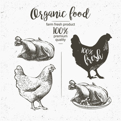 prepared roasted chicken © mozart3737