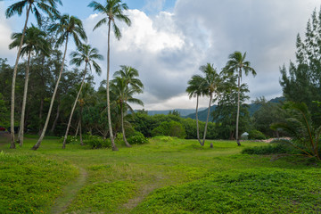 Obraz premium Kahana Bay garden on the North Shore of Oahu HawaII 