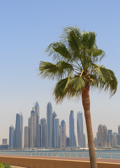 Fototapeta na wymiar sight of Dubai from Palm Jumeirah