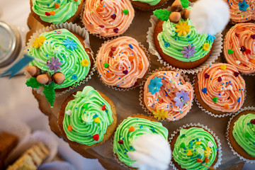 Fototapeta na wymiar Multiple pastel colored cupcakes