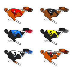 All color basenji dog running (dog racing dress)