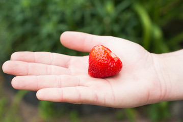strawberry on the arm of a young man