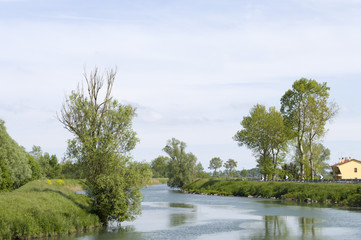 The river and the green