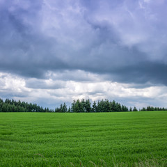 Fototapeta premium Gewitter zieht auf