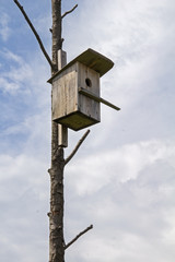 Wooden birdhouse on a dry tree.