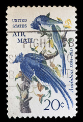 United States used postage stamp showing blues birds illustration
