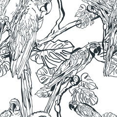Vector seamless pattern with tropical parrot birds on tree. Hand drawn black and white illustration of jungle. Background with parrots. Design for fashion textile summer print or wrapping. © Alina Kryshtal