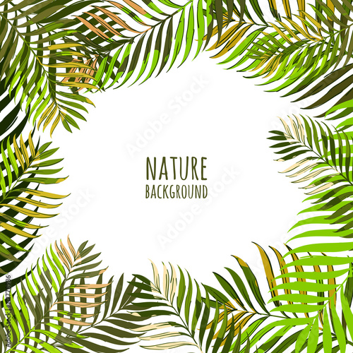 Vector Frame With Coconut Palm Leaves Floral Summer Background Tropical Green Hand Vector Frame With Coconut Palm Leaves Floral Summer Background Tropical Green Hand