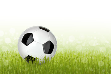 Obraz premium Fußball 23